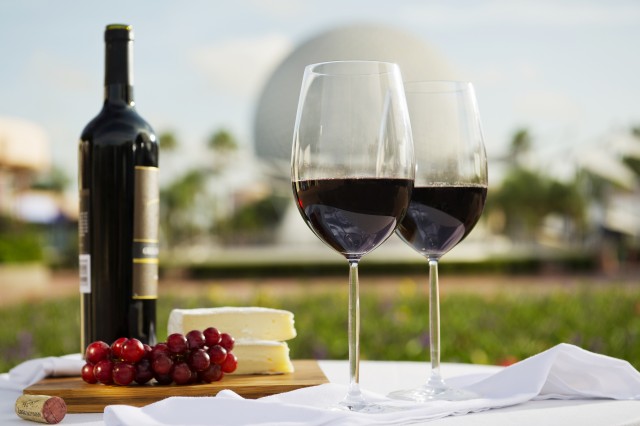Sara's Snippets - August 6, 2014 - Epcot Food & Wine Premium Package