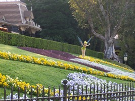 Adventures By Disney: Backstage Magic - Day 4 -Disneyland & Walt's World