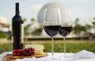 Sara's Snippets - August 6, 2014 - Epcot Food & Wine Premium Package
